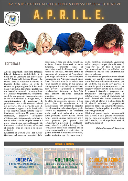 copertina giornale fin